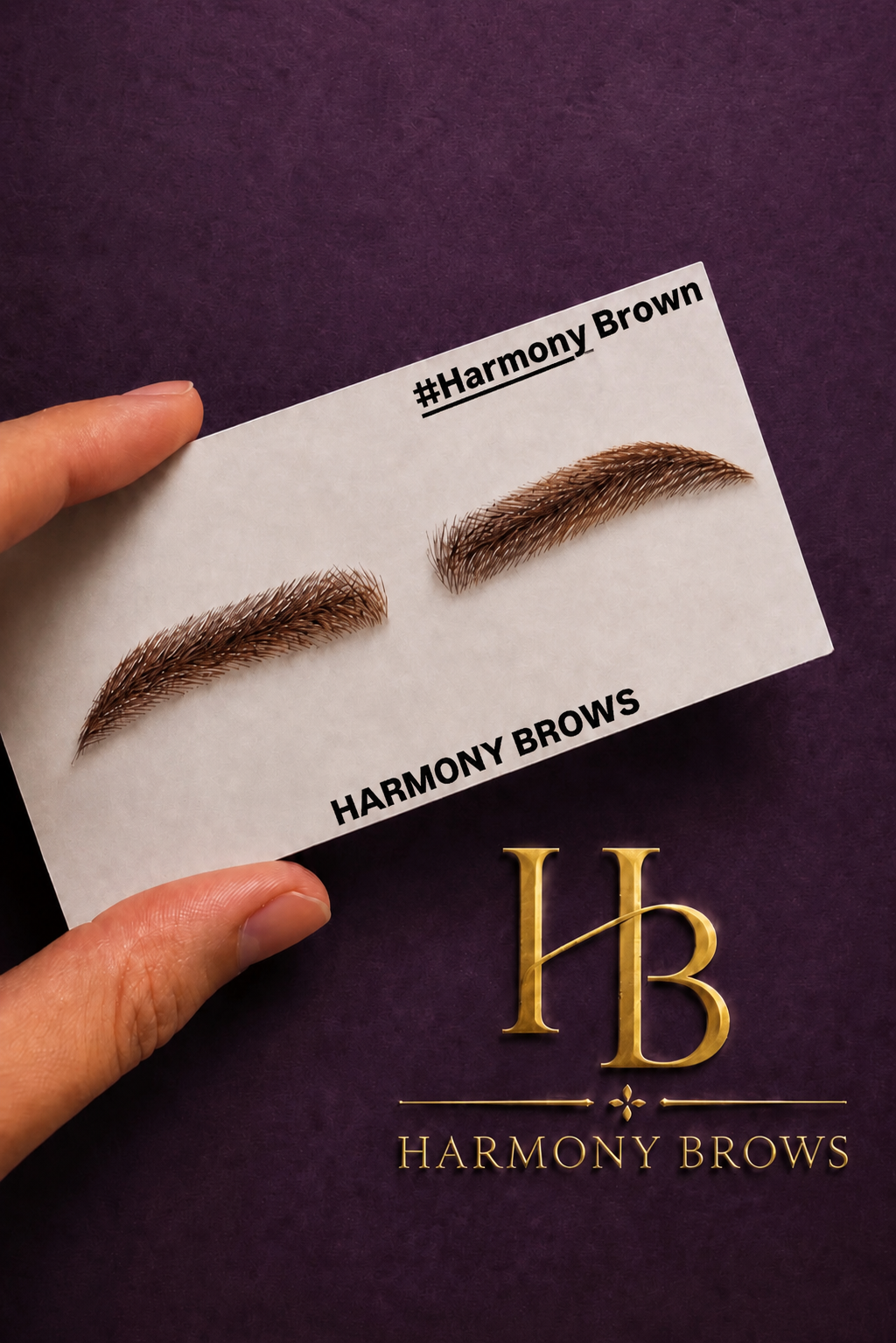 HARMONY BROWS