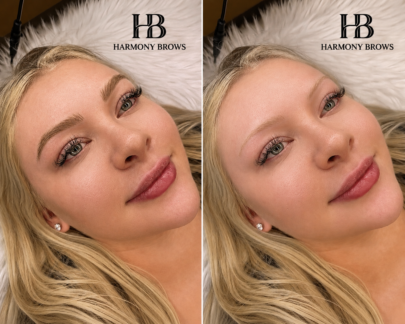 HARMONY BROWS-Espresso