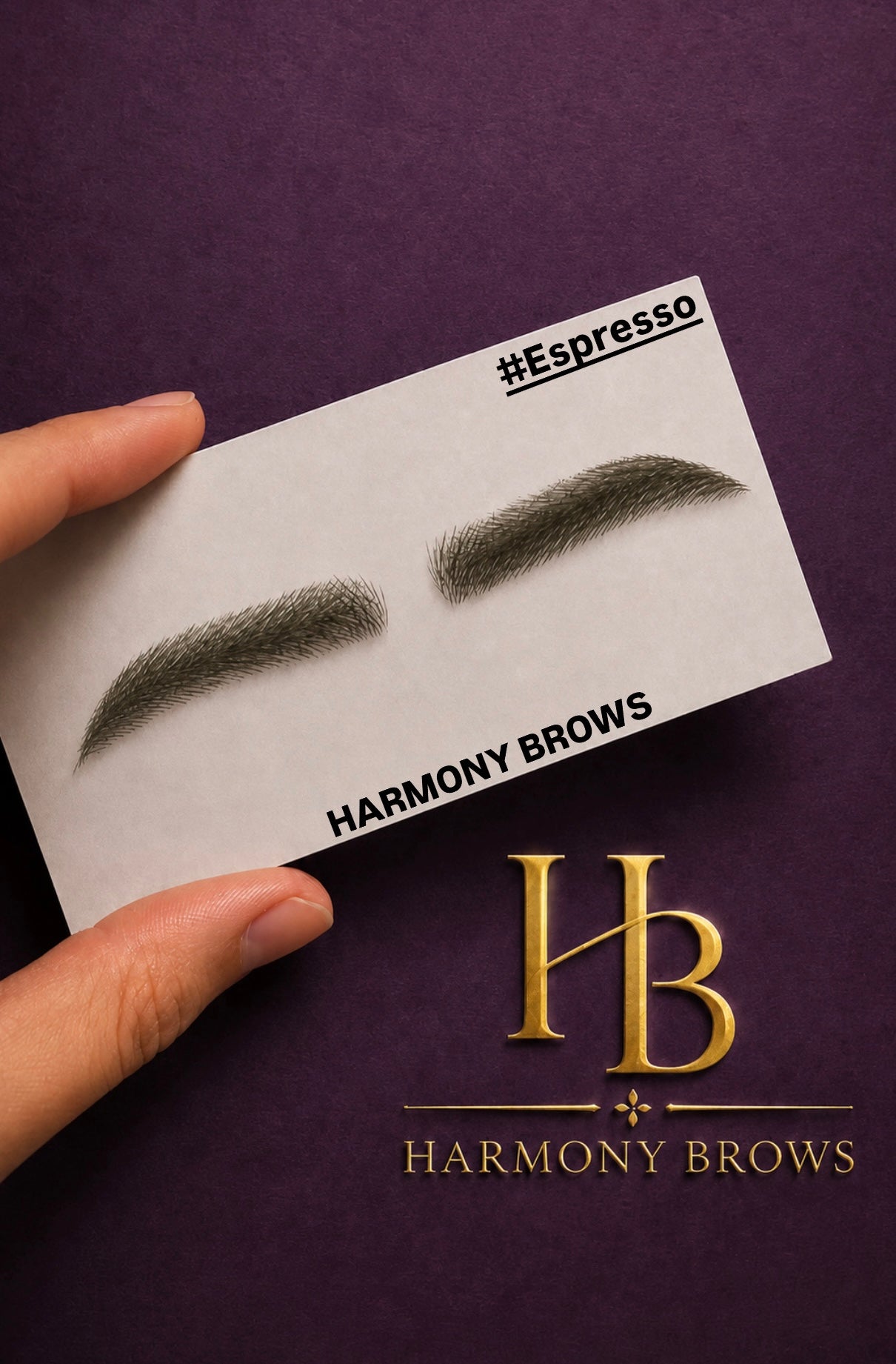 HARMONY BROWS-Espresso